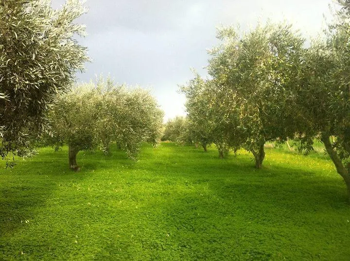 Farma Agriturismo Ridocco Corleone Itálie